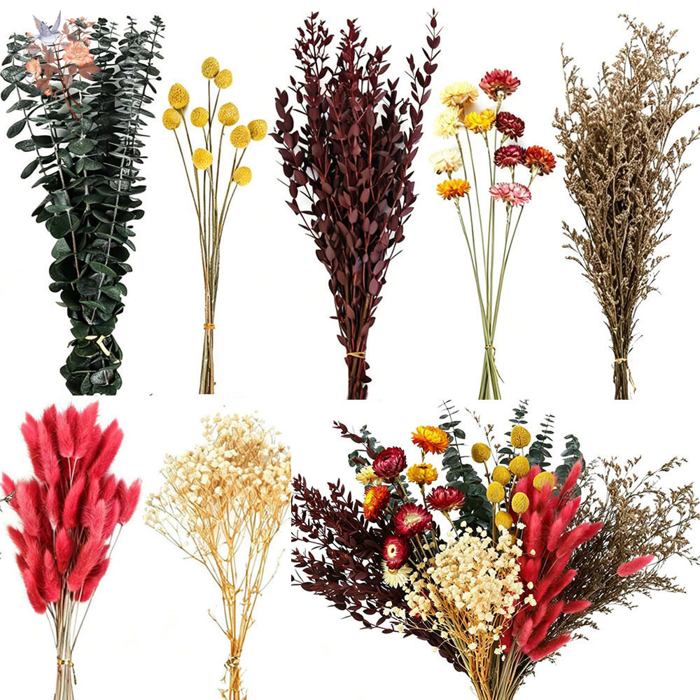 Wedding Floral Supply - Ensemble de fleurs séchées en vrac,