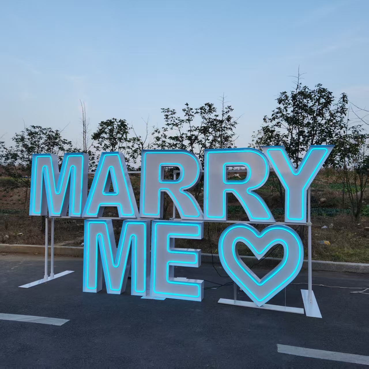 MARRY ME Enseigne lumineuse LE - Wedding Party Supply Rentals avis et prix